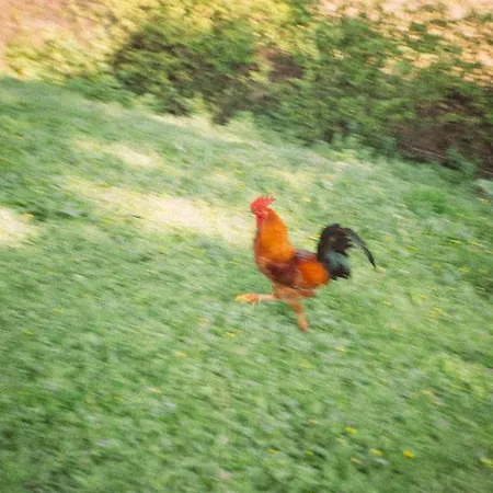 Сasa de vacaciones Casa Rural Sansaba *