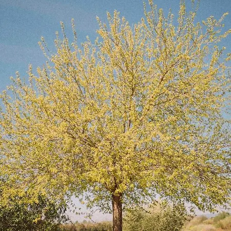 Casa Rural Sansaba Сasa de vacaciones Sevilla